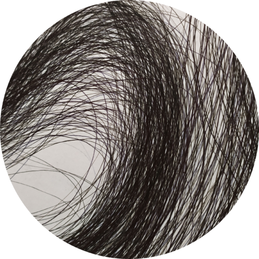 Logo Heidi Barré